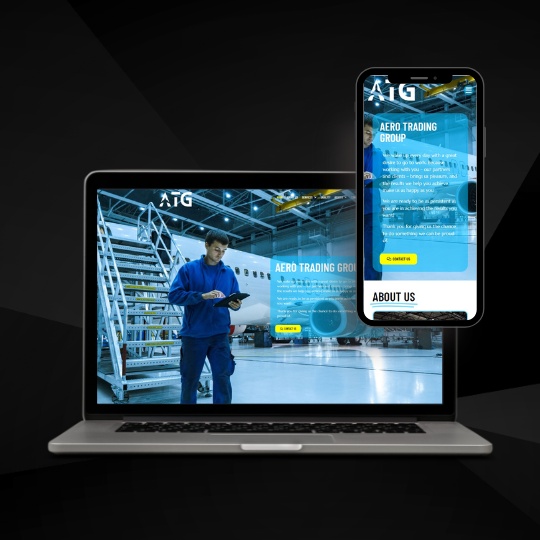 Aviation Website Development