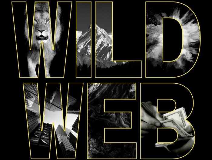 WildWeb Development Studio